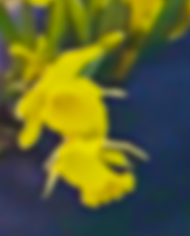 Nos sorties musicales préférées de 2025