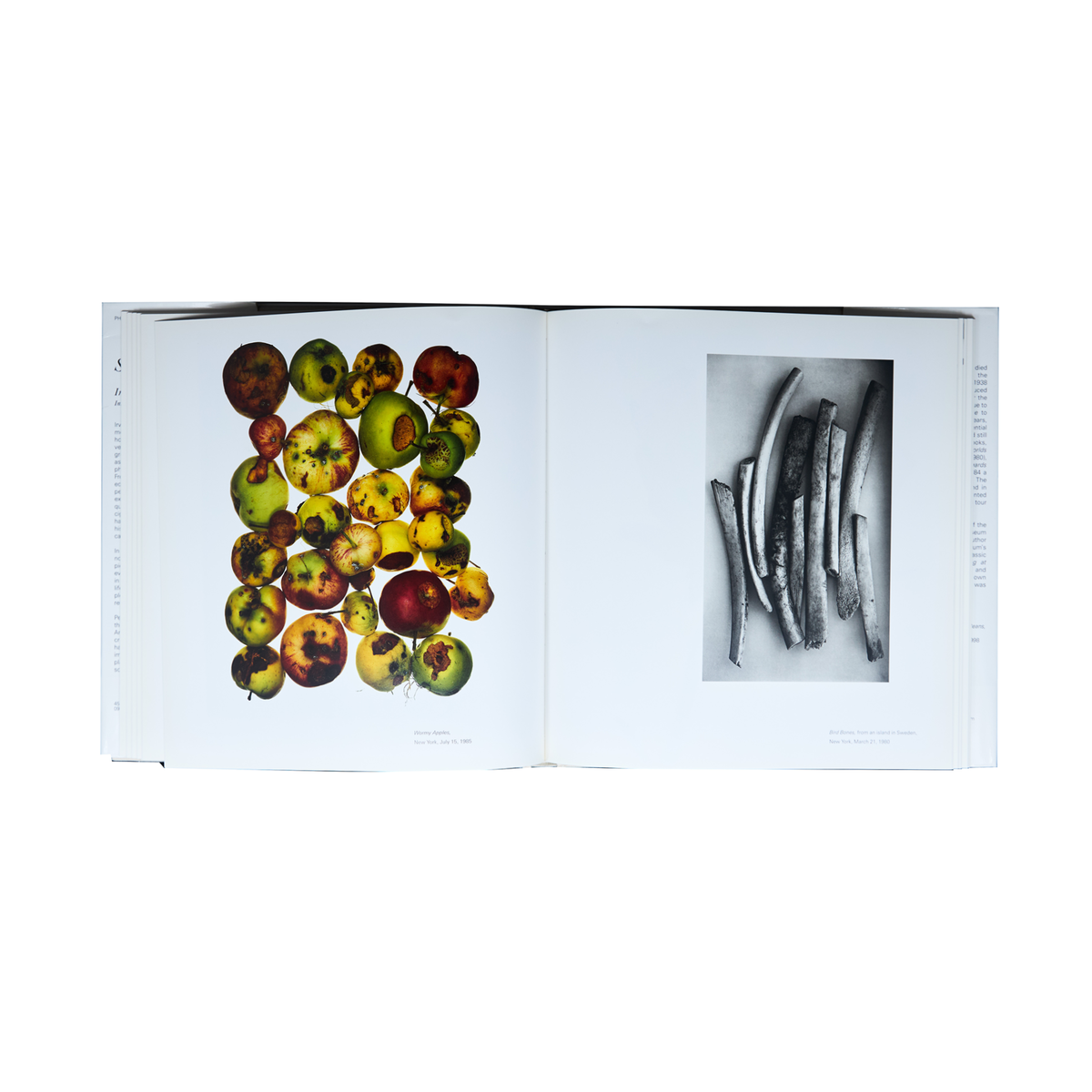 Bleu Minuit club. - Still Life