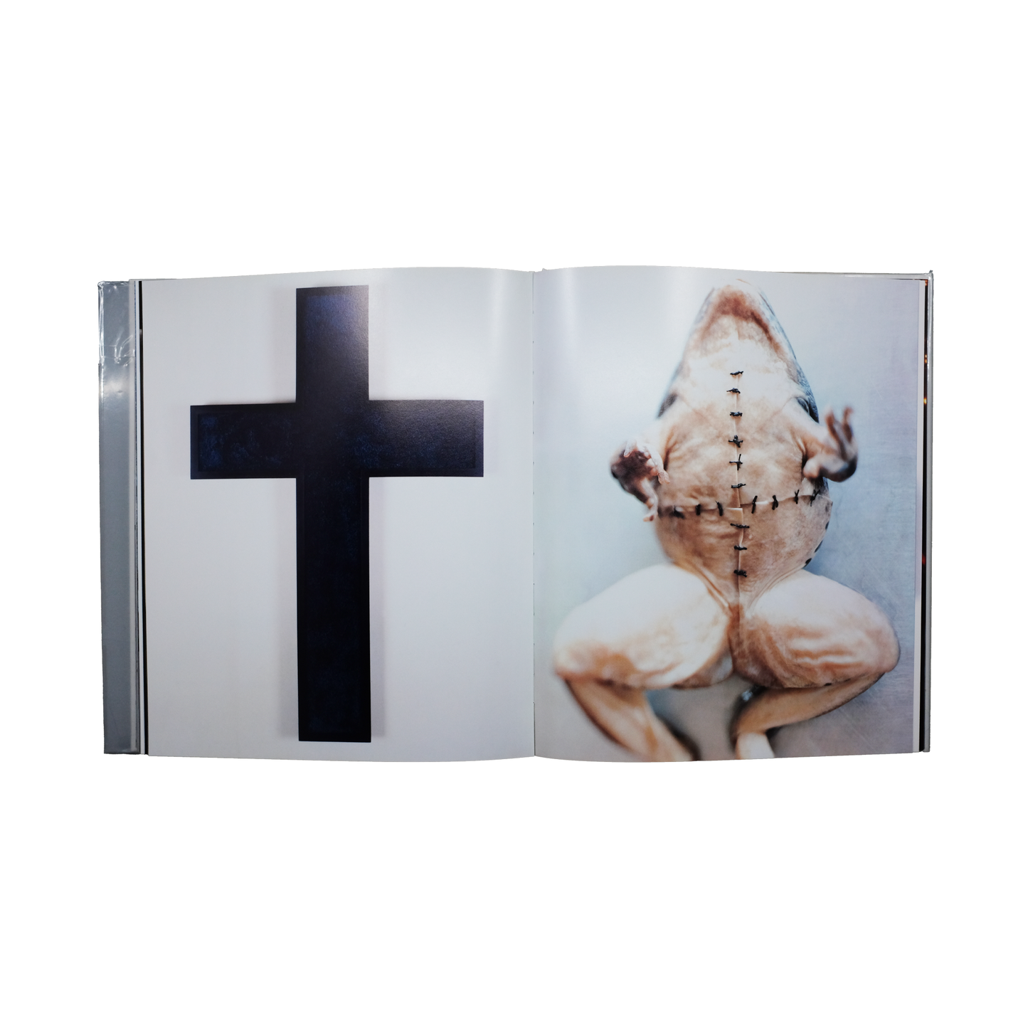 Bleu Minuit club. - Cross - Kelly Klein