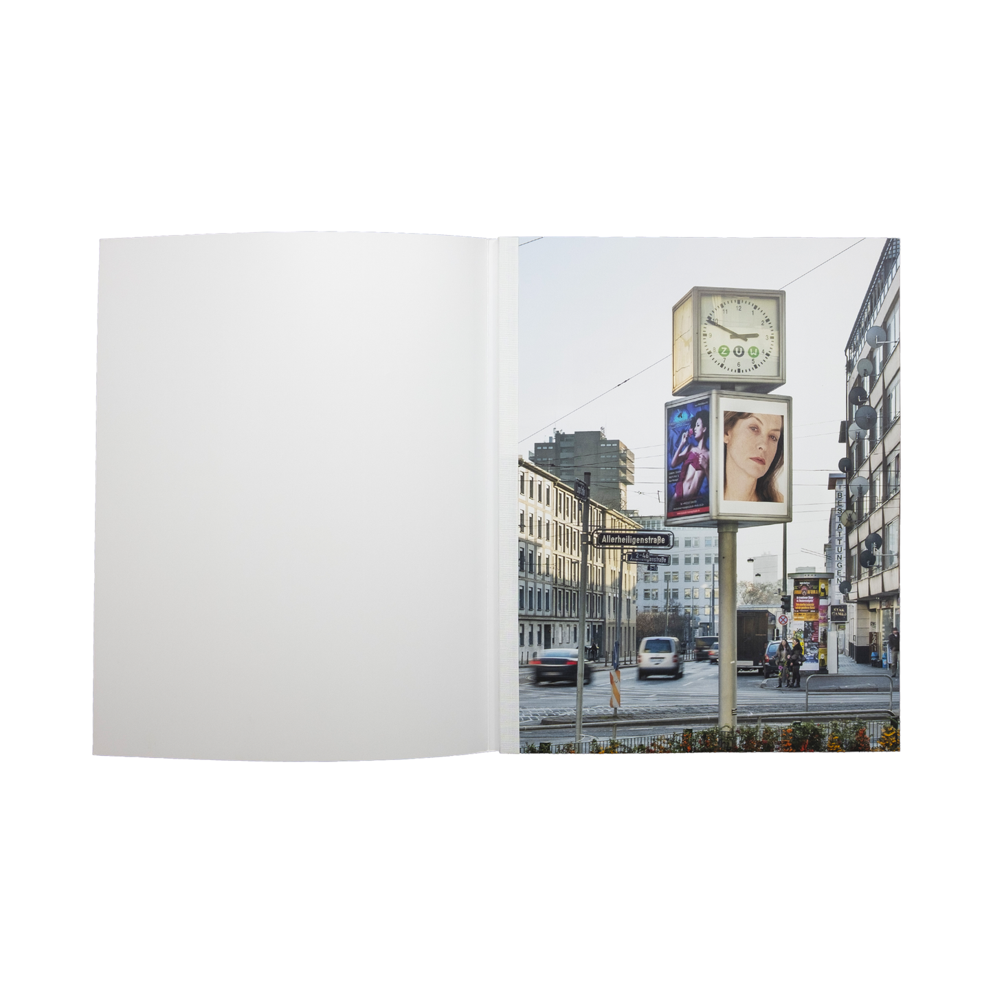 Roni Horn Portrait of an Image