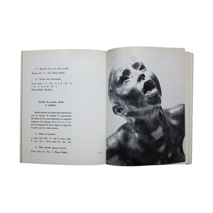 Rodin Inconnu