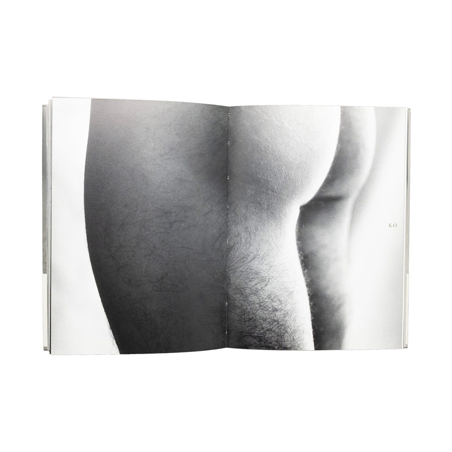 Sawaru / Chromosome XY