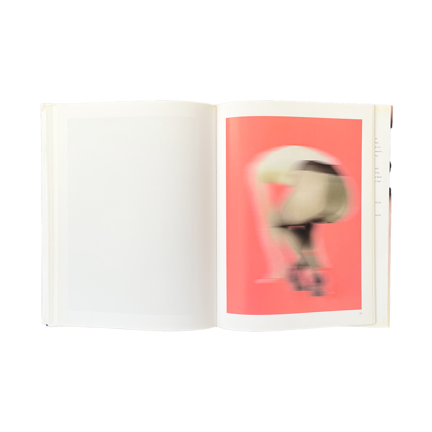 Bleu Minuit club. - Thomas Ruff - Nudes - Text Michel Houellebecq