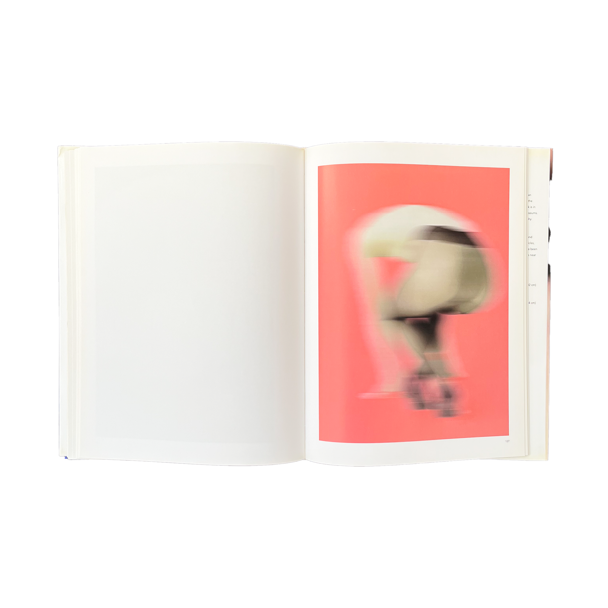 Bleu Minuit club. - Thomas Ruff - Nudes - Text Michel Houellebecq