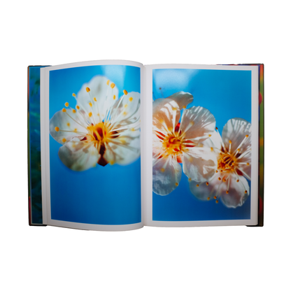 Acid Bloom - Mika Ninagawa