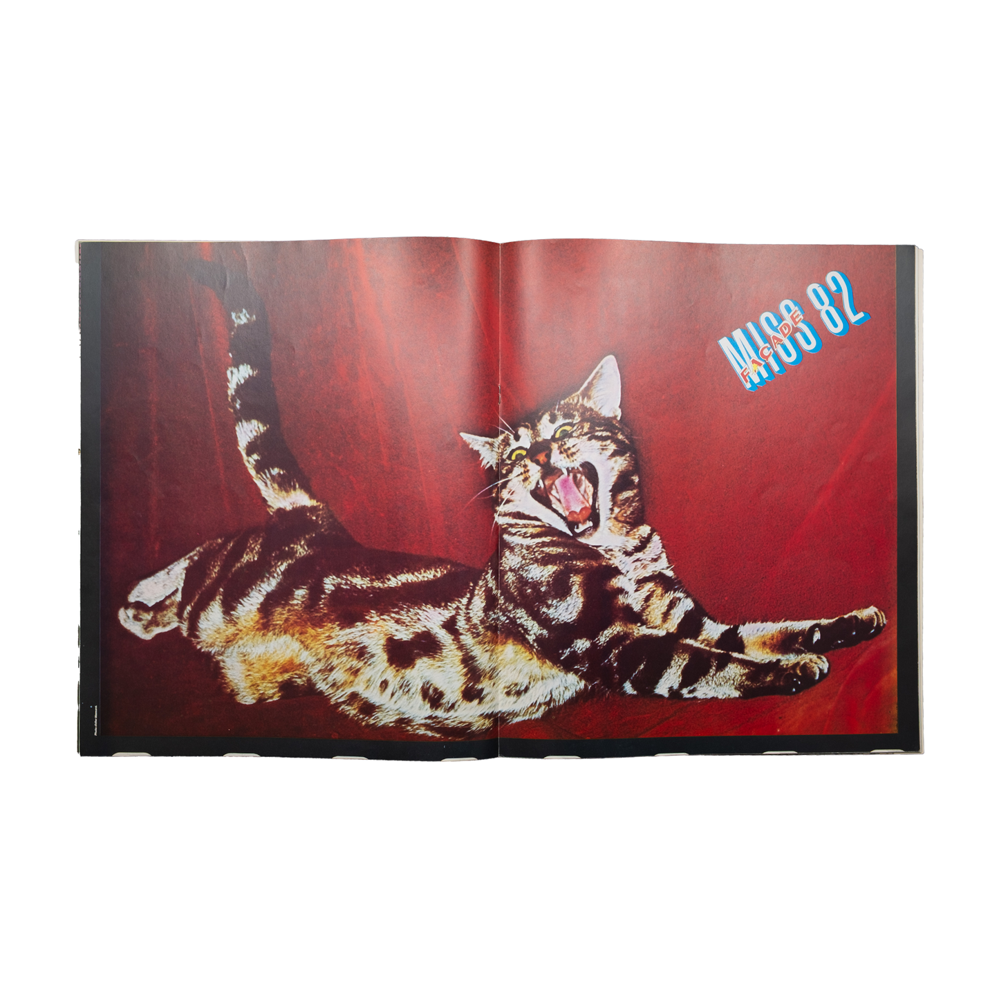 Façade magazine (n°12)