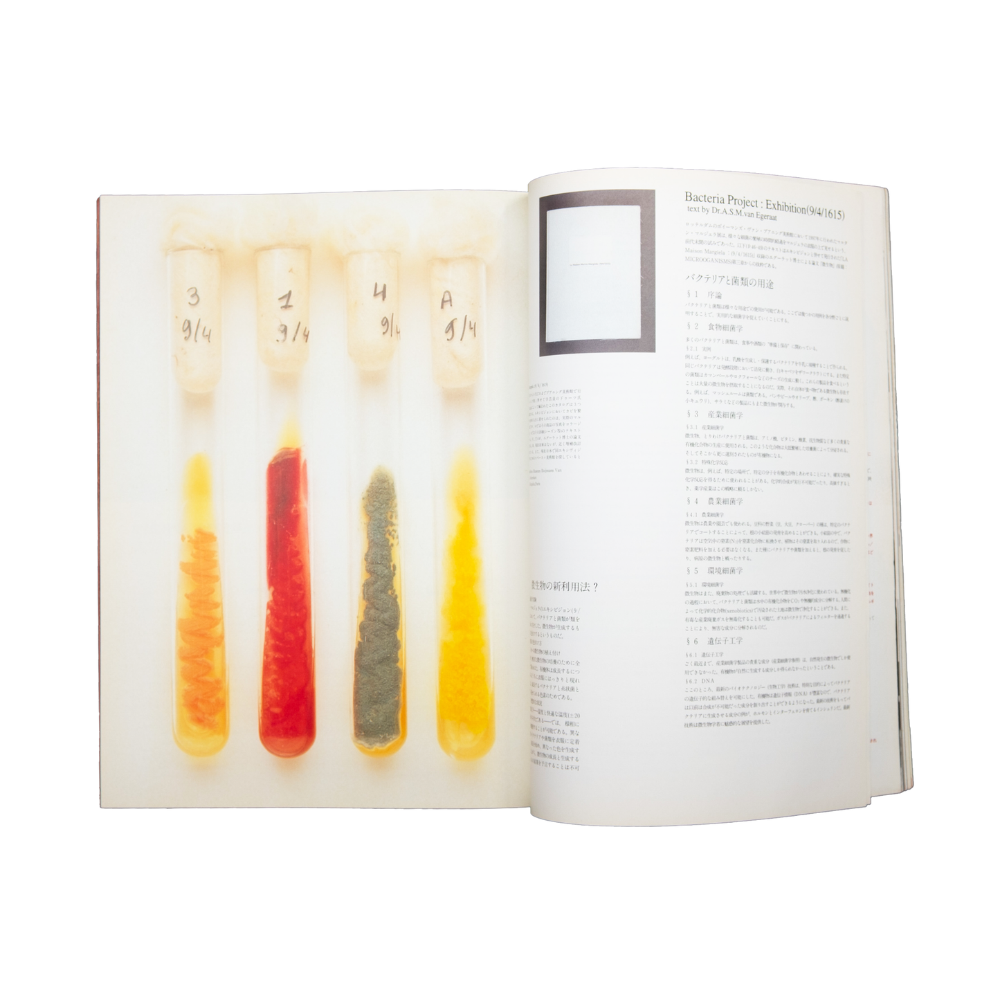 studio voice martin margiela special