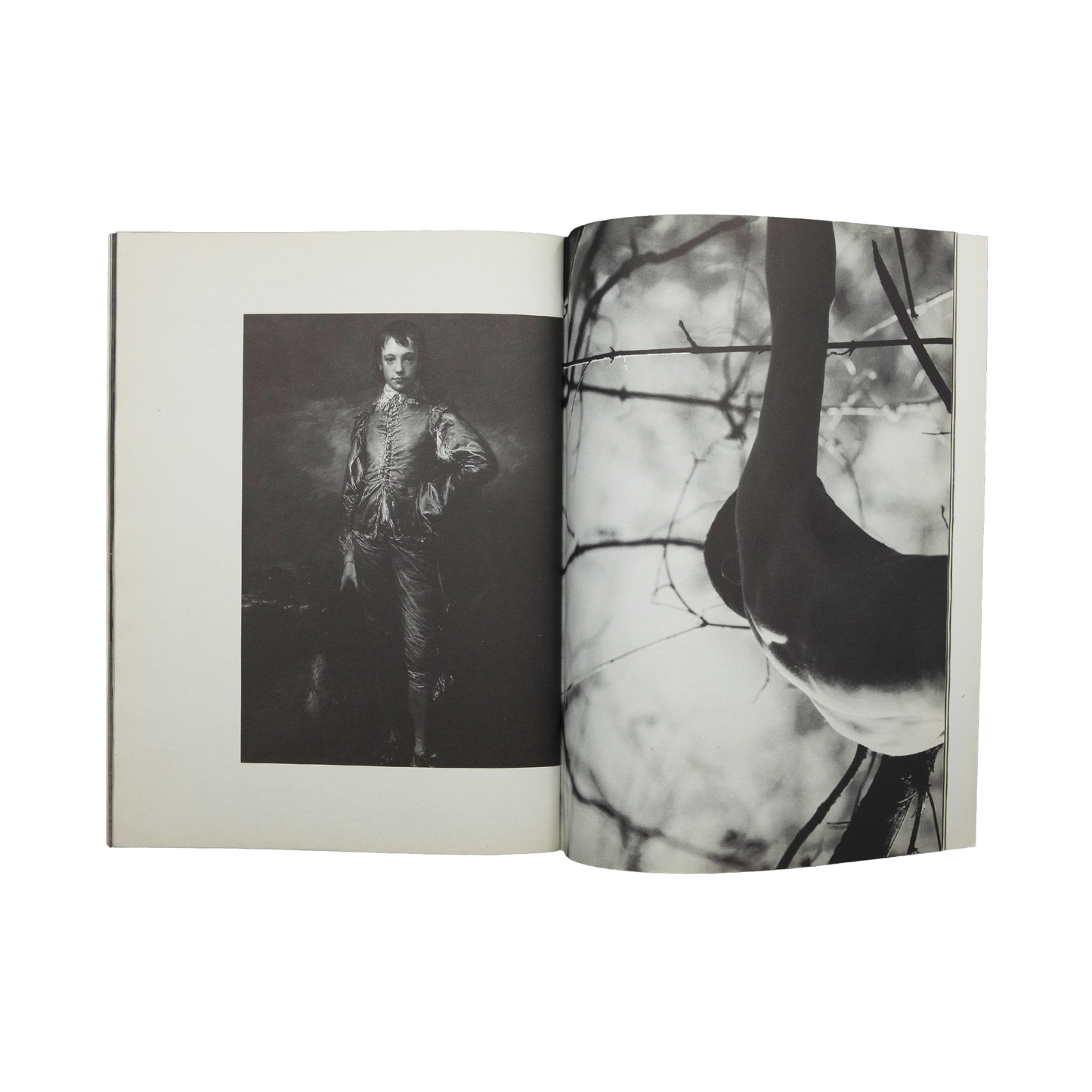 interzone Hedi slimane