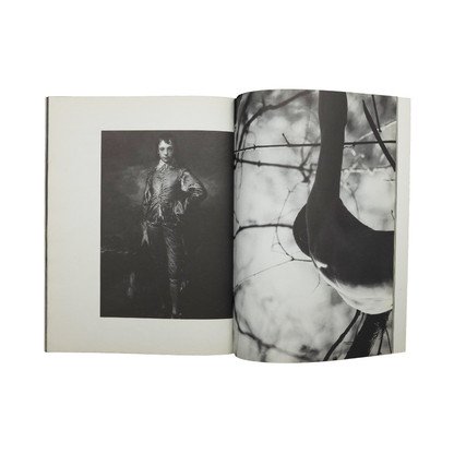 interzone Hedi slimane