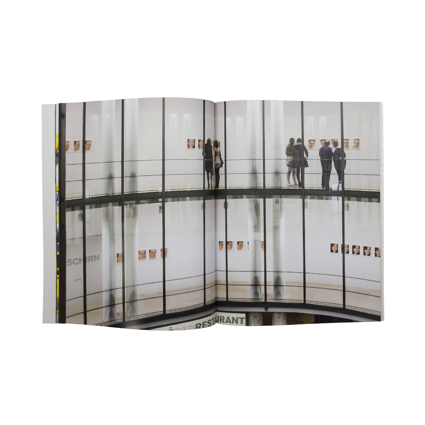 Roni Horn Portrait of an Image