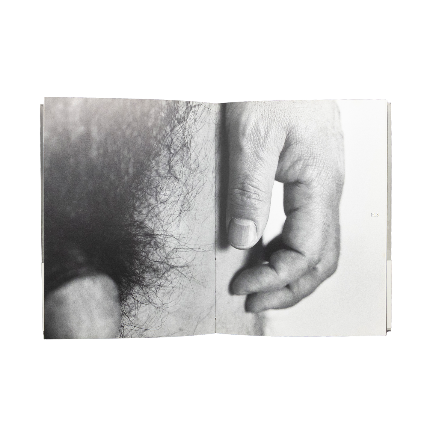 Sawaru / Chromosome XY