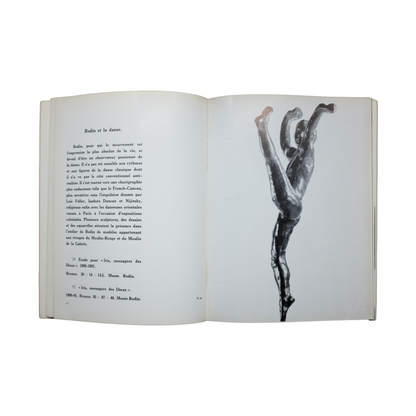 Rodin Inconnu