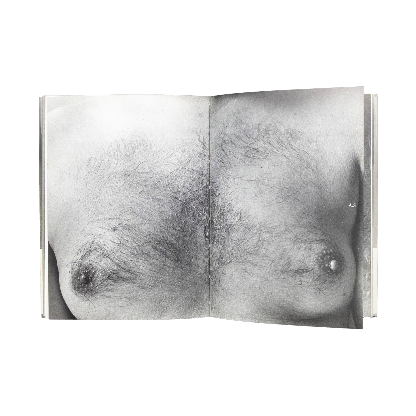 Sawaru / Chromosome XY