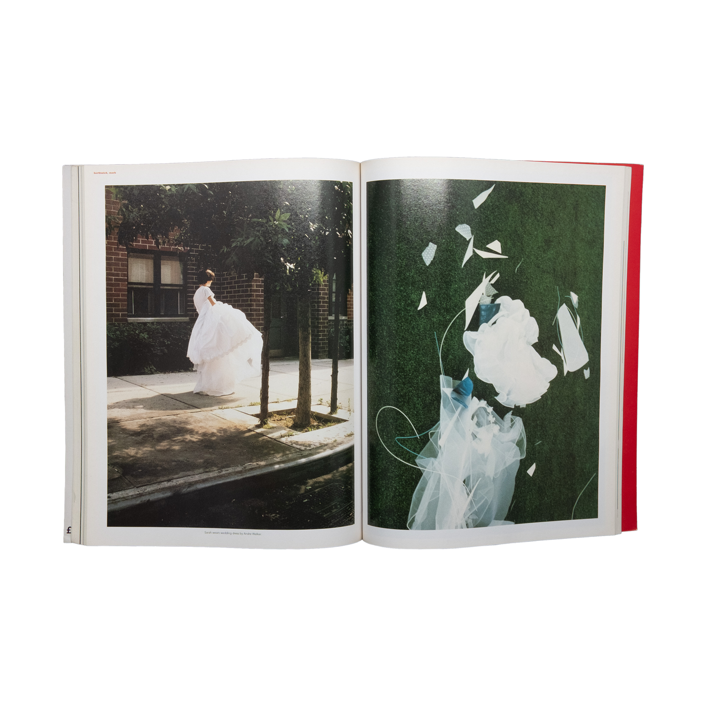 I-D Family Future Positive