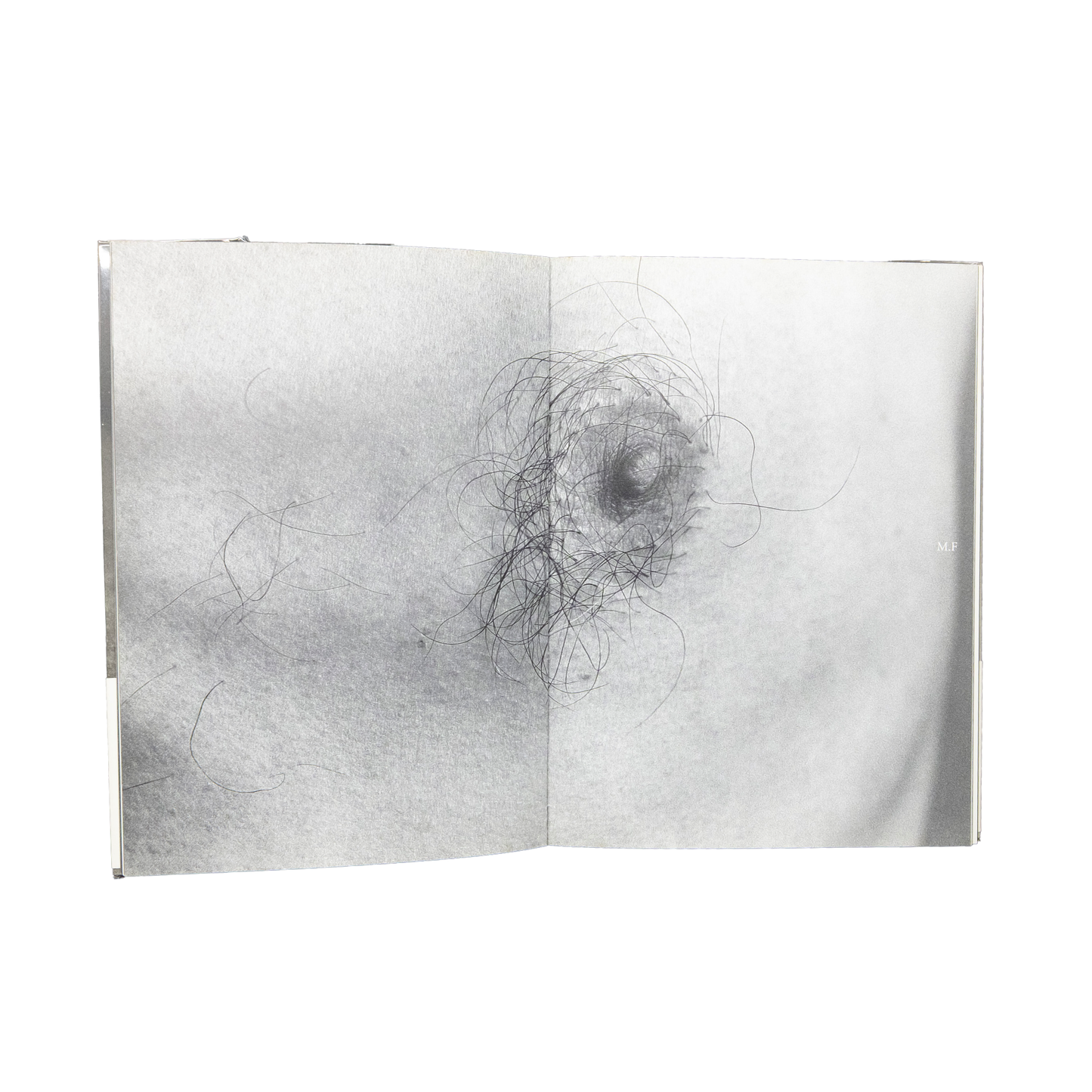 Sawaru / Chromosome XY