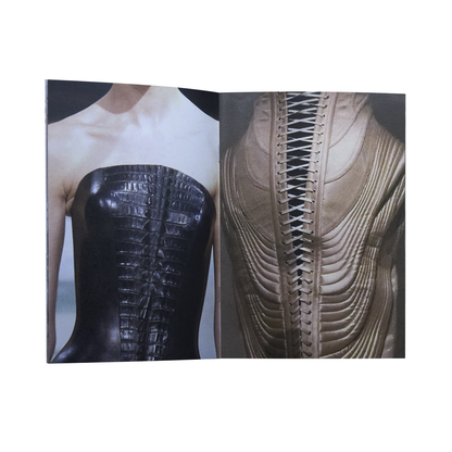 Visual Research Zines : corsets
