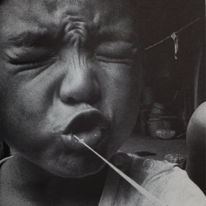 Sacchin (1995 ED)
