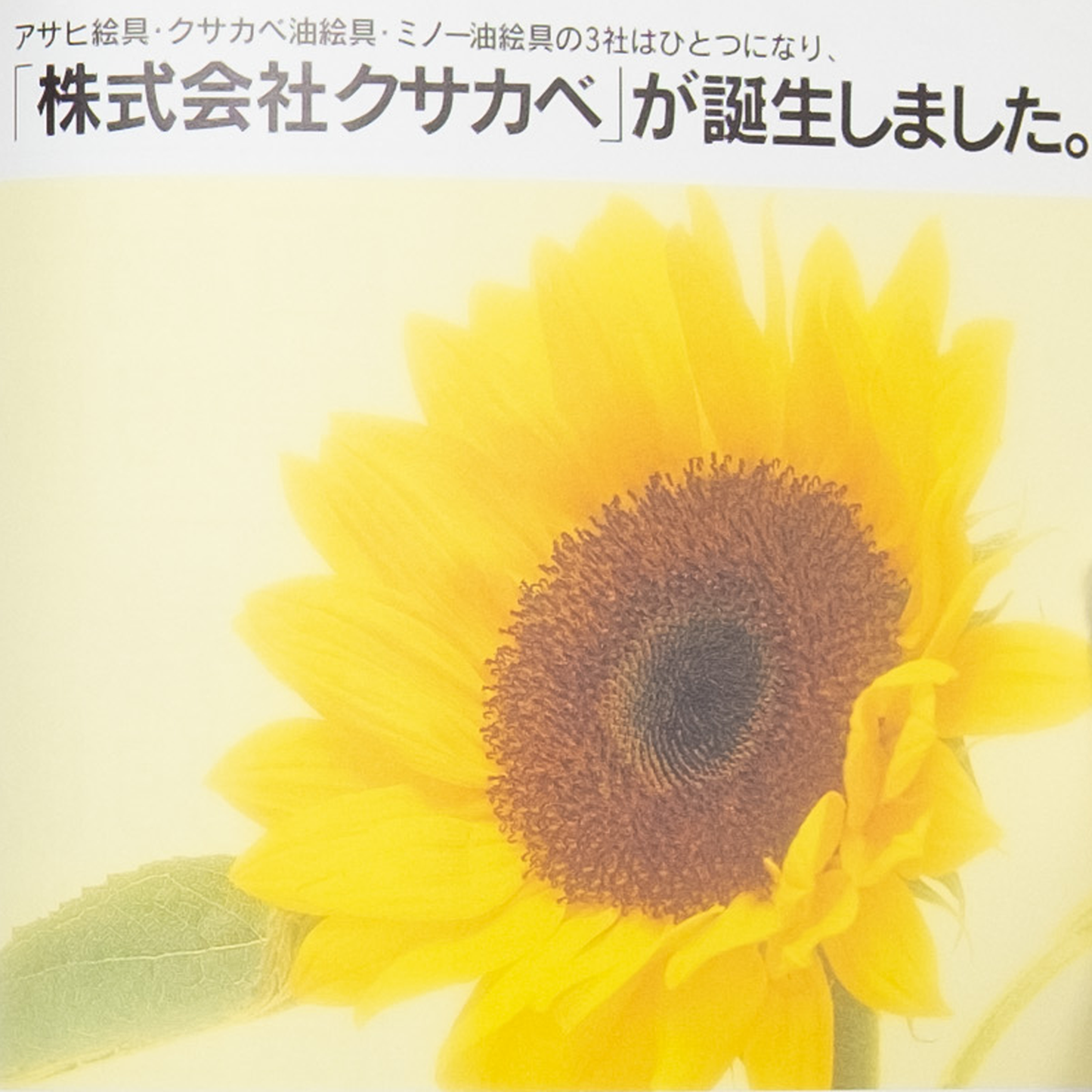 Bijutsu Techo volume 48 spécial Larry Clark