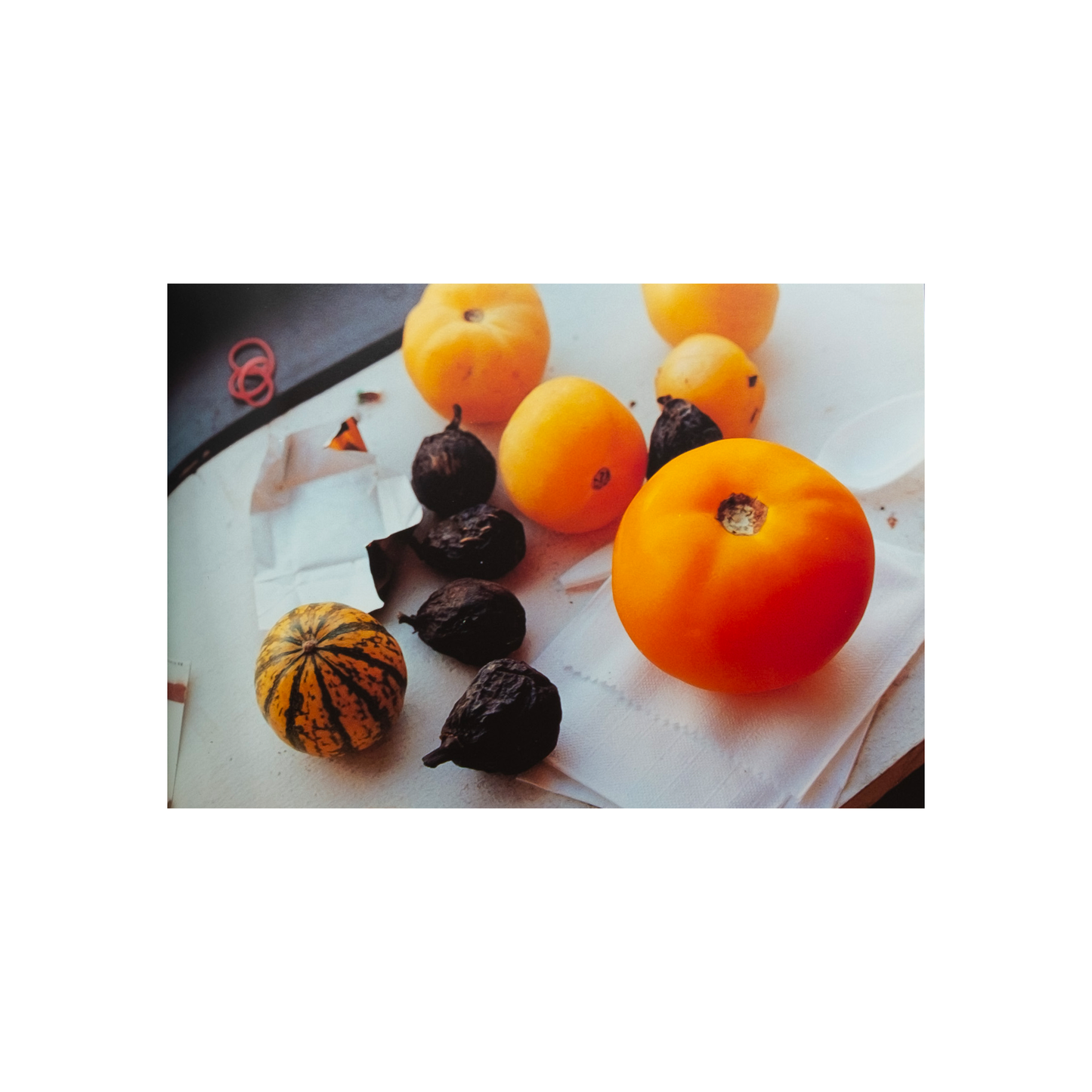 Wer Liebe wagt, lebt morgen